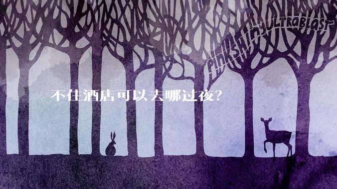 不住酒店可以去哪过夜？